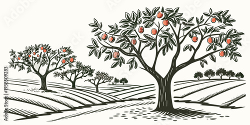 A serene landscape with three trees standing on a grassy hillside. Vector