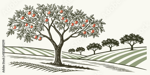 A serene landscape with a solitary tree standing on a hill overlooking a valley. Vector