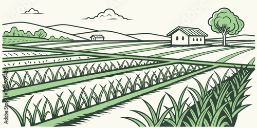 A serene landscape featuring a vast expanse of green crops and distant mountains Vector