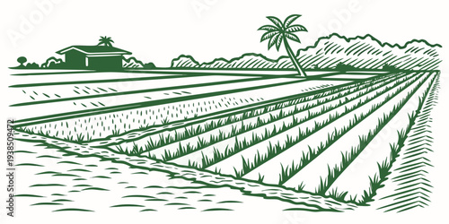 A peaceful countryside scene with rows of crops and a distant tree line Vector