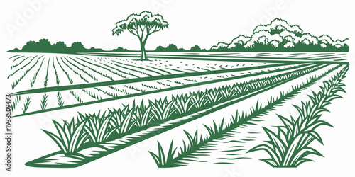 A serene landscape of rolling hills with a winding path and lush greenery. Vector