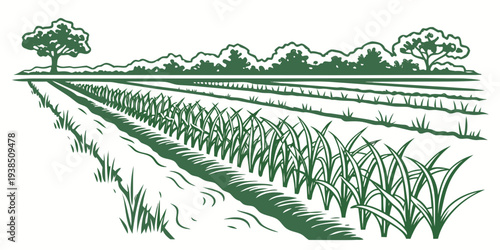 A detailed illustration of a vast agricultural field with rows of crops and a tractor. Vector