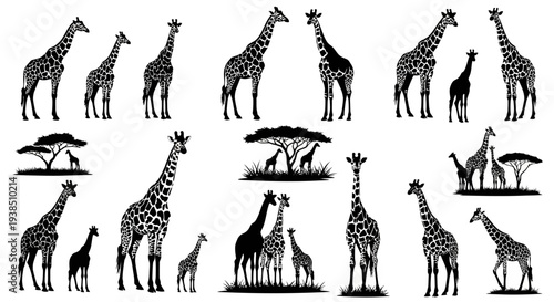 Collection of Giraffe Silhouettes: Safari Animals, Wildlife, and Nature Scenes