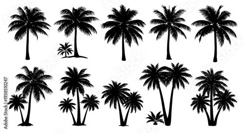 Collection of Black Silhouette Palm Trees on White Background