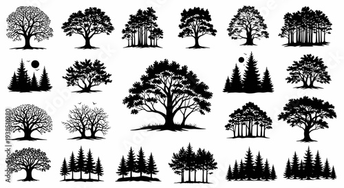 Collection of Black Silhouette Trees and Forests Vector Graphics
