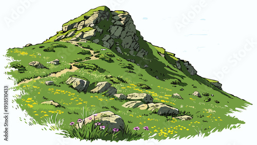 A lush green hillside with a winding path and scattered trees Vector