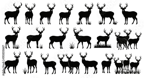 Collection of Deer Silhouettes: Majestic Stags and Fawns in Various Poses