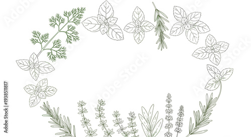 Delicate circular wreath made of hand drawn herbal sketches including basil, rosemary, dill, and mint in a light green color.