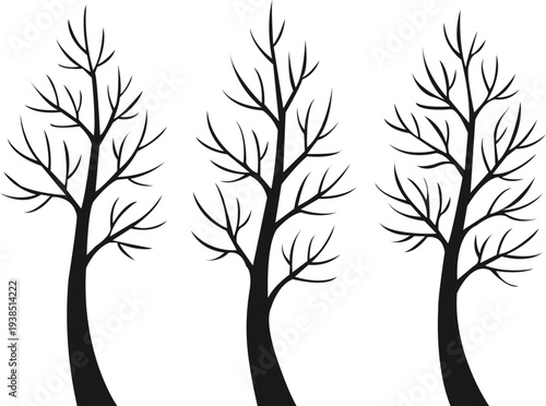 Series of tall bare trees