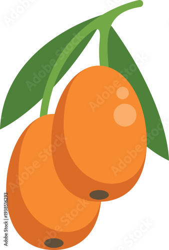 Sea buckthorn berries are a healthy fruit growing on a branch with green leaves