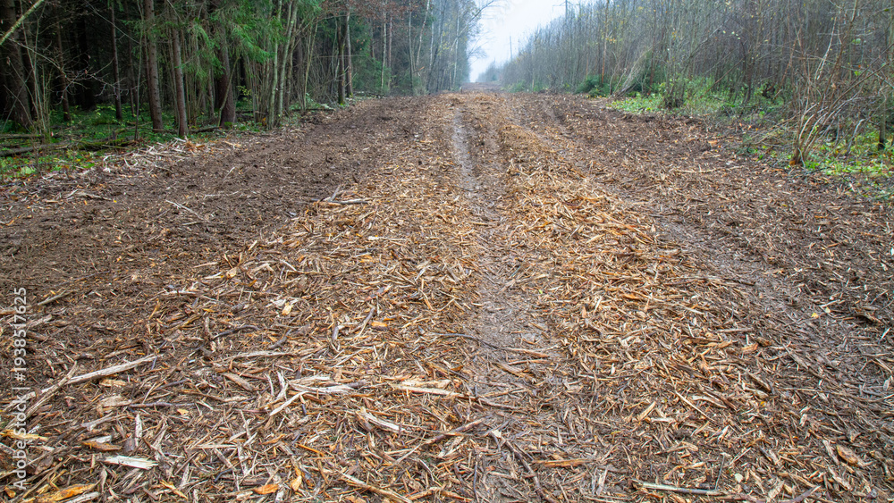 Fototapeta premium Wide muddy forest road covered with wood chips after clearcut logging. Environmental impact, habitat loss, forestry industry and land management concept.