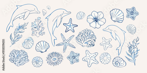 Blue line drawing of dolphins seashells starfish and tropical flowers