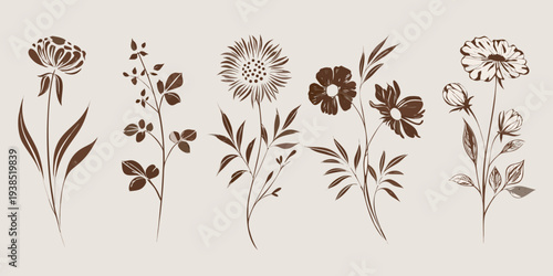 Vintage botanical illustration featuring a collection of delicate wildflowers