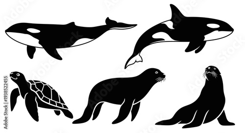 Ocean Wildlife Silhouettes: Orcas, Whales, Sea Lions, Seals, and Sea Turtle Vector Set
