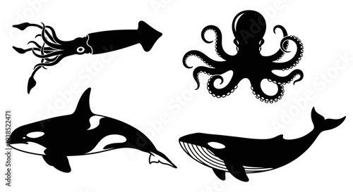 Oceanic Creatures Silhouettes Collection: Squid, Octopus, Orca, Whale Vector Art