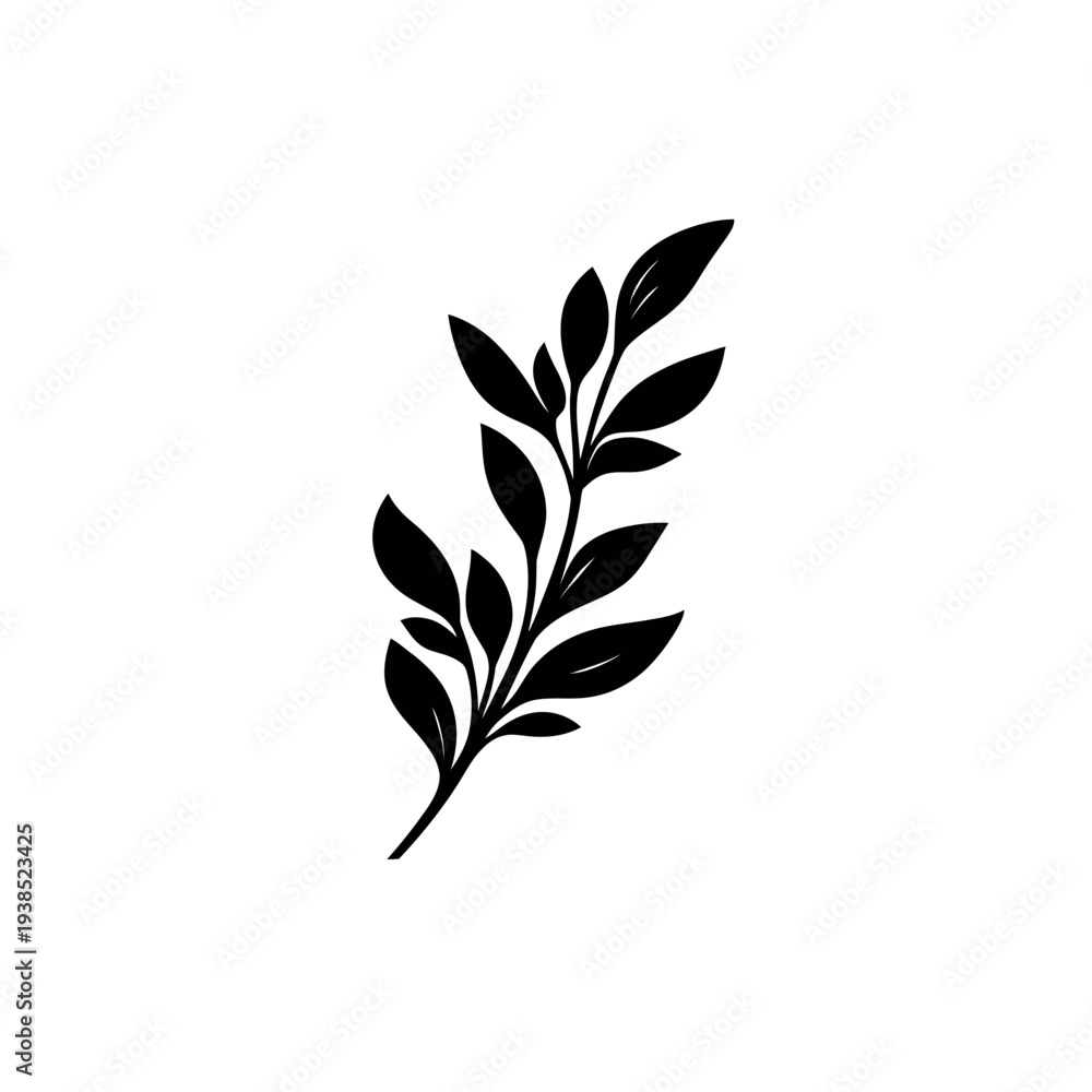 Fototapeta premium A stylized black and white illustration of a botanical sprig with multiple leaves on white background
