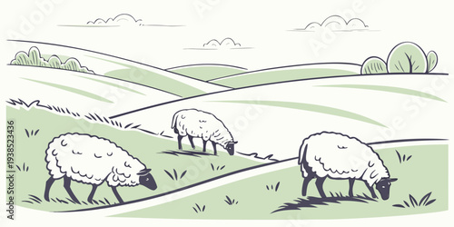 Three sheep grazing on a lush green hillside with a winding path Vector