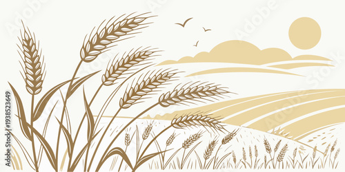 Golden wheat field under a bright sun with a clear blue sky and a few scattered clouds. Vector