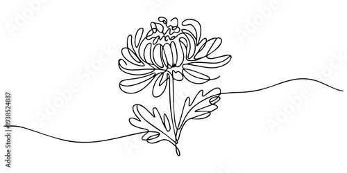 Abstract flower continuous line. Minimalist contour drawing. Continuous one line drawing of beauty fresh chrysanthemum garden logo. Printable decorative mum flower concept for home decor wall art post