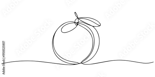 Minimalist one line art illustration of a fresh whole orange and a sliced half on white background, Orange fruit continuous one line drawing minimalist style isolate outline, Drawing of a whole citrus