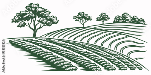 A serene landscape of rolling hills and fields under a clear blue sky Vector