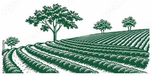A serene landscape of rolling hills covered with lush green trees and crops. Vector