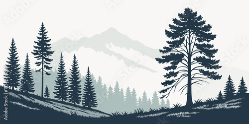 Majestic forest scene with tall trees and a serene sky in the background Vector