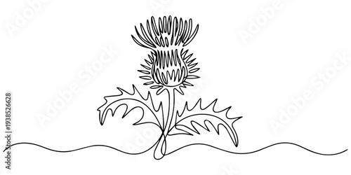 Abstract thorny flower thistle, milk thistle, silybum. continuous single one line art drawing sketch, logo, Abstract thorny flower thistle, milk thistle, silybum, Self drawing animation one continuous