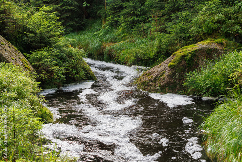 Schaumbildung nach Regen in Hochmoorbach im Fichtelgebirge, Weißmain