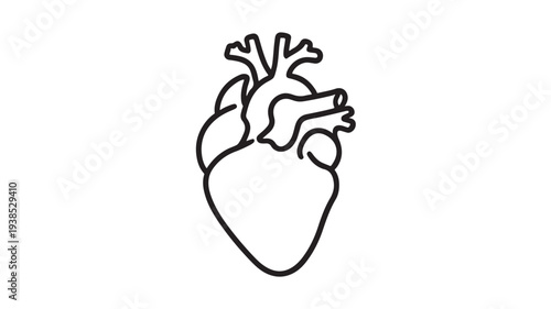 Minimalist Vector Icon of an Anatomical Human Heart Representing Cardiology Health and Medical Science