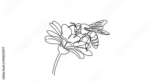 Bee Pollinating Flower Line Art Isolated on White Background