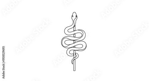 Snake Illustration Isolated on White Background