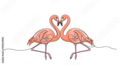 Two Pink Flamingos Forming Heart Shape Isolated on White