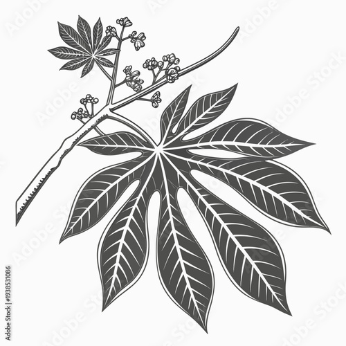 A detailed illustration of a cannabis leaf with intricate vein patterns and serrated edges Vector