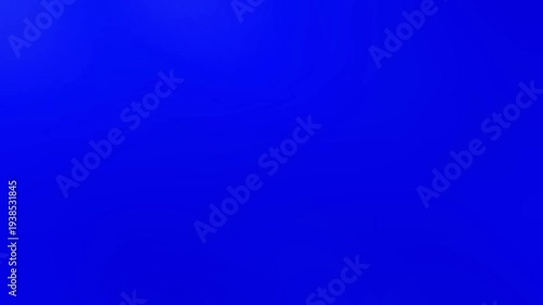 Red Poppy Flower Transitions Blue Screen | Transition 4