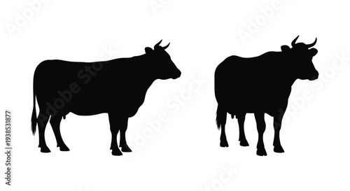 Two black silhouettes of cows standing side by side silhouette