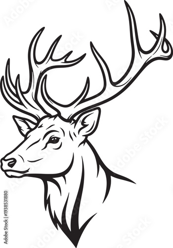 Deer with large antlers head.