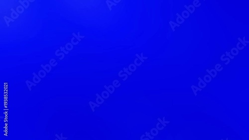 Red Poppy Flower Transitions Blue Screen | Transition 1