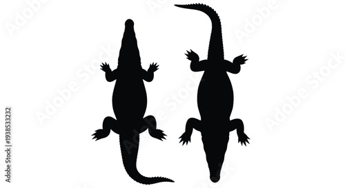 Two alligators viewed from above in a striking silhouette