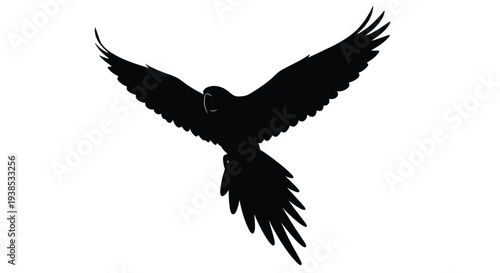 A majestic bird of prey soars with wings outstretched silhouette