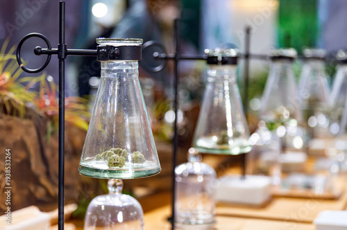 cannabis buds in a clear glass jar on a counter at a modern dispensary or cafe, with people sitting in a blurred background. Perfect for lifestyle and retail themes