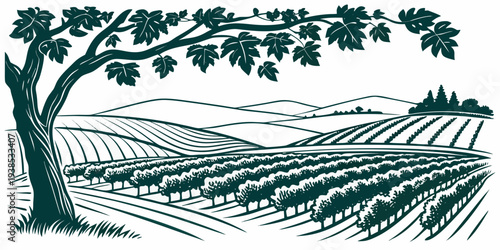 A serene landscape featuring a tree on a hill overlooking a vast field Vector