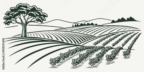 A serene landscape depicting rows of crops under a clear sky with distant trees Vector