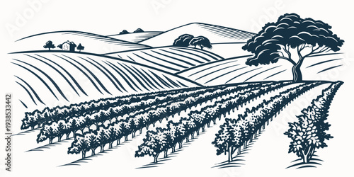 A serene landscape of rolling hills and winding roads under a clear blue sky Vector