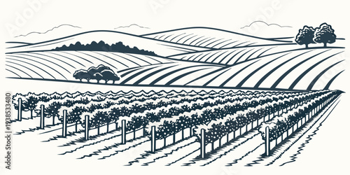 A serene landscape of rolling hills covered in lush green grass and dotted with trees. Vector