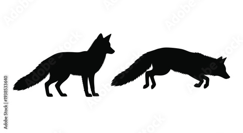 Two foxes in dynamic poses a striking black silhouette