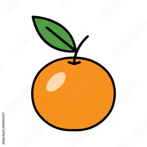 vector illustration of an orange fruit
