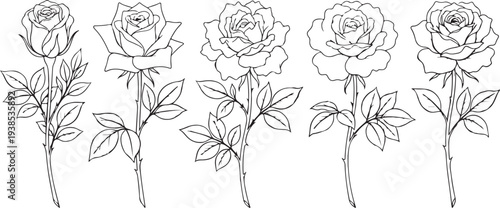 Hand drawn floral vector illustration with flowers leaves and vintage design