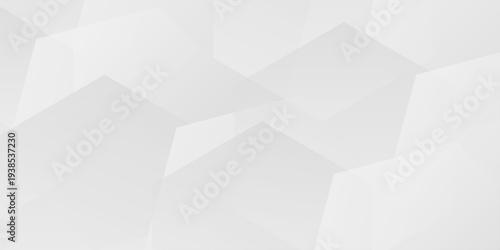 abstract white and gray geometric background with subtle transparent overlapping hexagonal shapes and soft gradients
