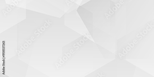 abstract white and gray geometric background with subtle transparent overlapping hexagonal shapes and soft gradients